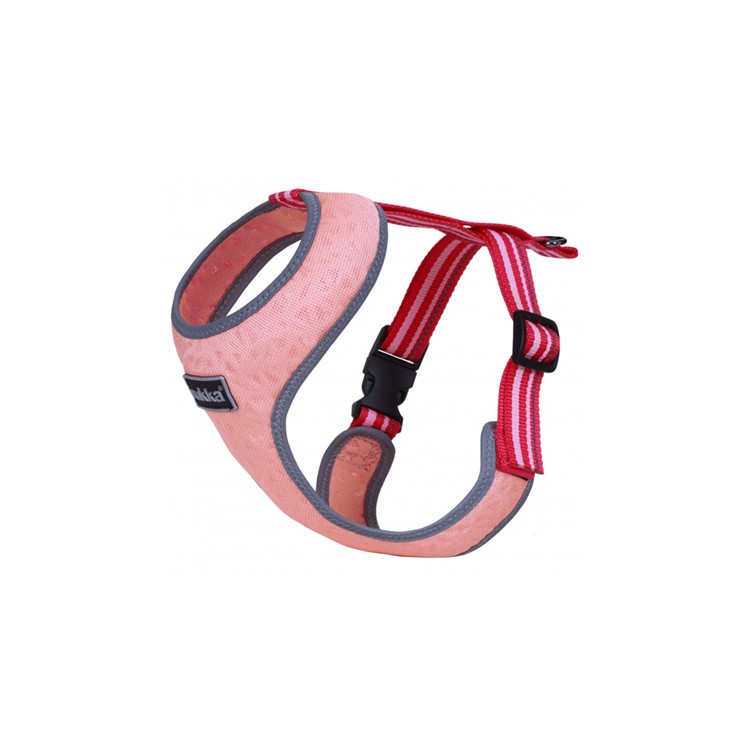 Pettorina Laser Mini Light Rose Tg L