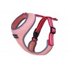 Pettorina Laser Mini Light Rose Tg L