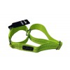 Collare Form Web Neon Giallo Tg L