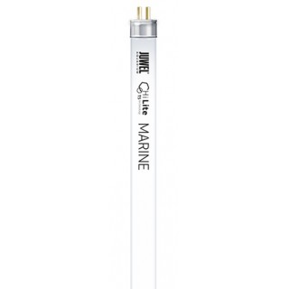 Neon T5 Hi Lite Marine 54 w...