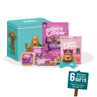Christmas Box Cane Adulto Edgard & Cooper