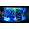 Decorazione H2Show sfondo + gel Atlantis 80 x 40