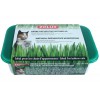 Erba Gatta depurativa naturale semi 250g