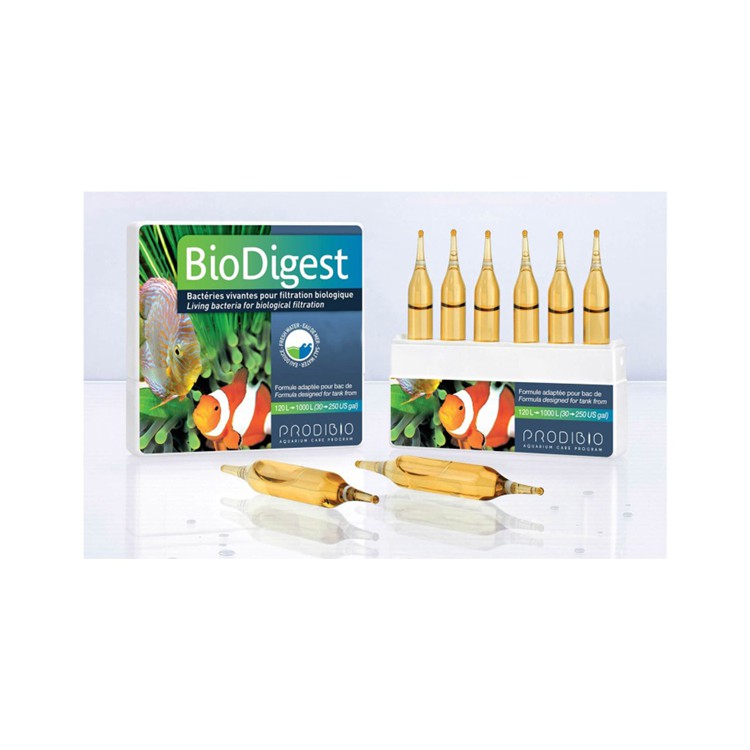 Batteri Bio Digest - 12 fiale Prodibio