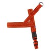 Pettorina Hurtta Norvegese Casual Cannella 50-60cm