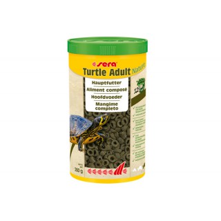 Mangime Turtle Adult Nature...