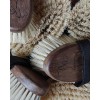 Spazzola Marlis in Teak Birmano con setole di Tampico con cinghiolo
