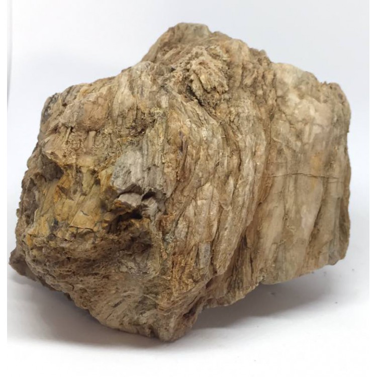 Roccia legno fossile skin