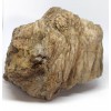 Roccia legno fossile skin