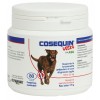 Cosequin Ultra Cane Grande con problemi articolar 80cps