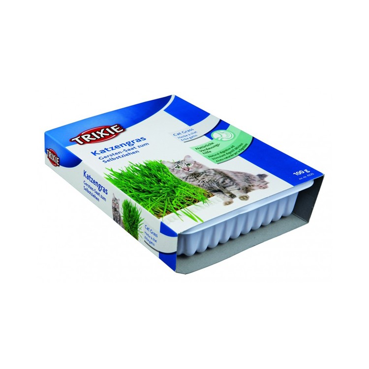 Erba gatta in vaschetta 100gr