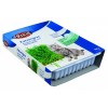 Erba gatta in vaschetta 100gr