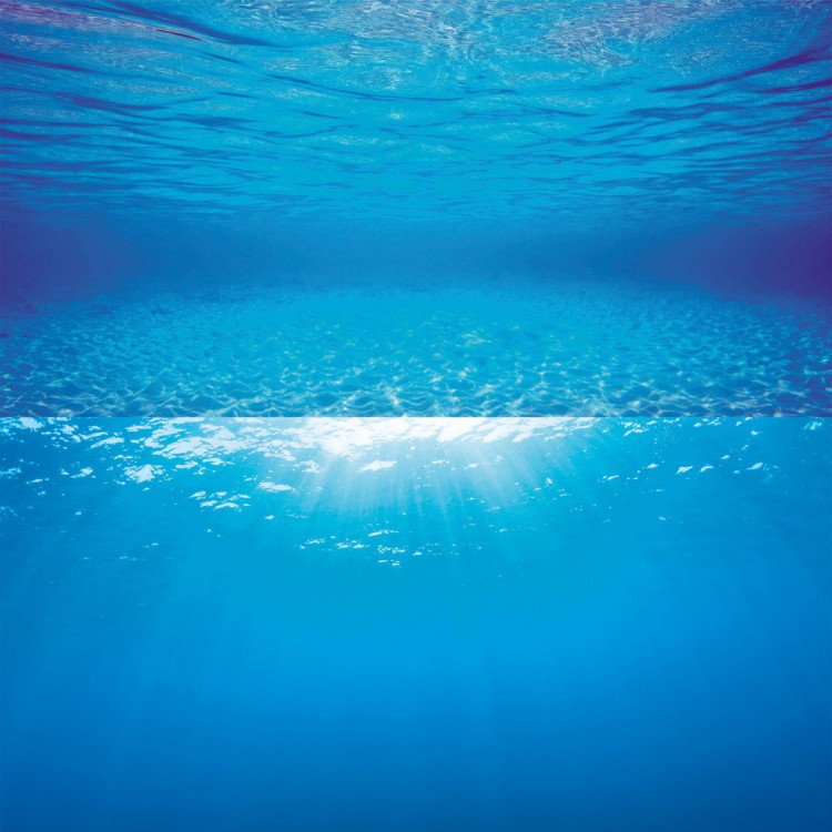 Decorazione sfondo Poster 2 S Juwel 60 x 30 cm doppia serigrafia acqua