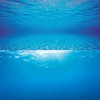 Decorazione sfondo Poster 2 S Juwel 60 x 30 cm doppia serigrafia acqua